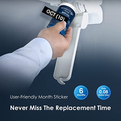 Waterdrop Plus 469690 Adq36006101 Nsf 53&401 Certified Refrigerator Water Filter, Replacement For Lg® Lt700P®, Kenmore® 9690, Adq36006102, 46-9690, Lfxs30766S, Wsl-3, Fml-3, Rfc1200A, Pack Of 2 #TOP6
