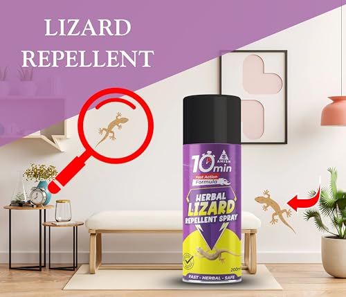 Image of Amish Aerosol Ultra Lizard Spray 200Ml Pack Of 1 Ready To Use For Home, Office, Warehouse Indoor Lizard Spray Safe Eco-Friendly Solution With Amish Say Goodbye To Lizard