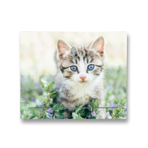 Image of MightySkins Skin Compatible with Alienware X14 R2 (2023) Full Wrap Kit - Blue Eyed Kitten | Protective, Durable, and Unique Vinyl Decal wrap Cover | Easy to Apply & Change Styles | Made in The USA
