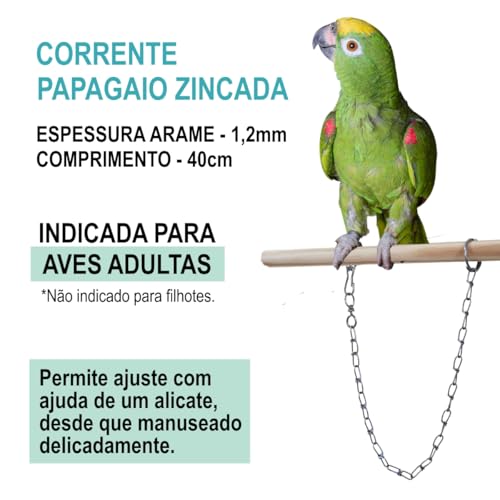 Corrente para Papagaio Anel De Pé Tornozeleira Pássaros