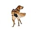 PABS, Pet Anti-Breeding System Chastity Belt for Dogs, Dog Diaper Alternative, Dog Chastity Belt Female (Please See Video) (Size X-Large – 56-90lbs)
