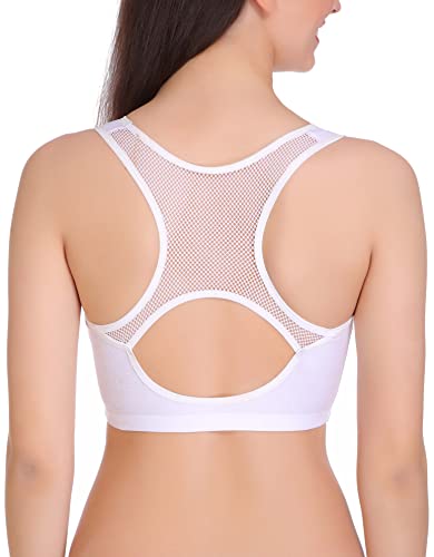 Image of Eve's Beauty Women's Padded Sports Bra (White)