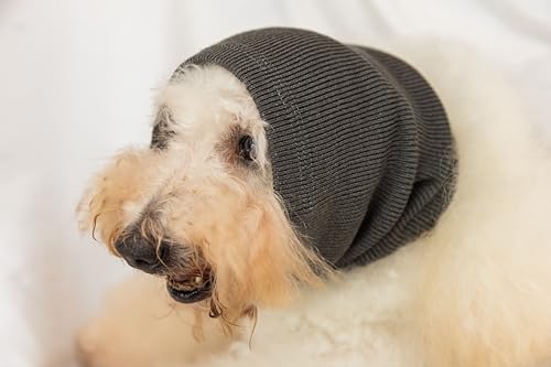 Image of Dog Ear Wrap Keep Calm Comfort Anti Anxiety Relief Protector Head Cover Ears Wrap for Dog Grey+Purple M