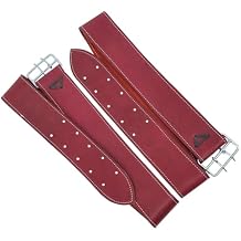 M-Royal Saddles Charro Saddle Vino Fenders Arciones para Montura