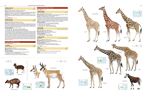 Illustrated Checklist of the Mammals of the World
