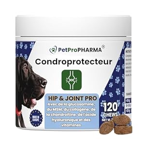 PetPro PHARMA – Hip & Joint Pro – Complément Anti-inflammatoire pour Les Hanches et articulations des Chiens et Chats. 120 comprimés à mâcher avec MSM, glucosamine, chondroïtine et collagène. 360 g.