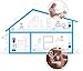 Devolo dLAN 550 WiFi - Adaptador Powerline, adaptador de red PLC, 1...