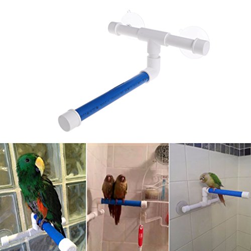 haia7k4k Perchoirs de Bain pour Animal Domestique Perroquet Plateforme Support Ventouse Mural Jouets pour Oiseaux