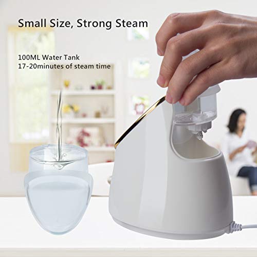Nano Ionic Face Steamer, Wolady 3 in 1 Home Sauna SPA Facial Warm Mist Humidifier Steamer with Stainless Steel Skin Kit for Pores Cleanse Clear Blackheads Acne Impurities Skin Care (White)