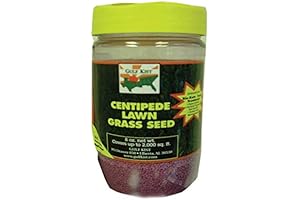 Centipede Seed for a Lush Southern Lawn: Barenbrug Centipede Grass Seed 2000...