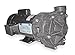 DAYTON 2YEW6 Centrifugal Pump, 3 HP,1 Ph,230V