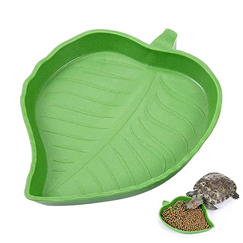 Reptile Feuille Bol Tortue Nourriture Eau Bol Assiette Reptile Feuille Plat pour Tortue Maïs Serpent Crawl Pet Boire Manger Reptile Aquarium Ornement