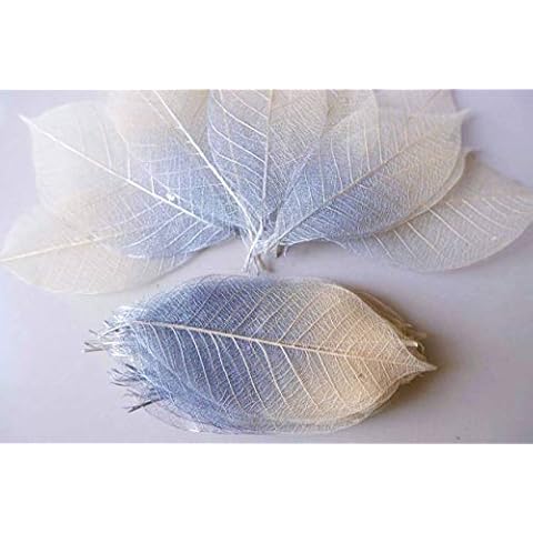 Thai Decorated 100 Pcs Skeleton Leaves Silver/Natural Color Two Tone Rubber Tree Natural Scrapbooking Craft DIY Card Wedding Small Leaves (Silver/Natural) Cover