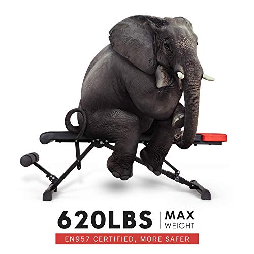 RINKMO Weight Bench, 5-in-1 Adjustable Workout Bench Strength Training for Full Body Workout, Sit-up Bench Incline Decline Bench for Home Gym with Fast Folding