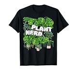 Monstera Pflanze Variegata Topfpflanze Natur