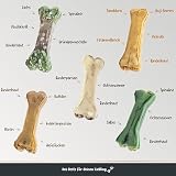 Pets Protect SUPERFOOD Kauknochen für Hunde 12cm | Kauknochen Mix | 5 einzigartige nährstoffreiche Kauknochen Kaustangen Hund für Groß & Klein | Made in Germany | getreidefrei | Kauleckerli