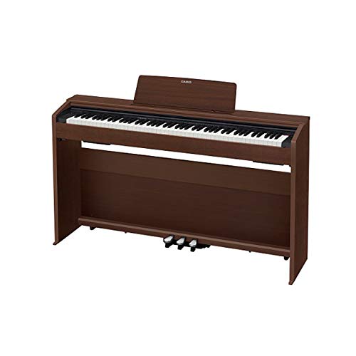 Casio Pianos numériques à 88 touches (PX-870 Marron) - Les Beatles, Paul McCartney, John Lennon, RIngo Starr, George Harrison Casio Pianos numériques à 88 touches (PX-870 Marron) – Image 3