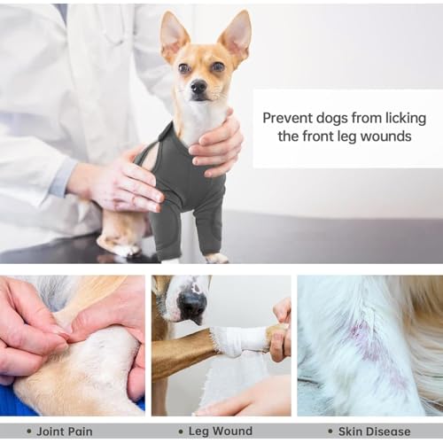 Protection coude pour chien pour empêcher le léchage et grattage - 5