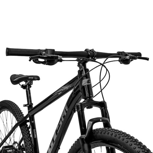 Bicicleta 29 Gts M1 Freio a Disco 21 Marchas Shimano Ride New G Series
