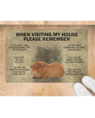 ���փ}�b�g ���̉Ƃ�K���ۂɂ͊o���Ă����Ă������� - �M�j�A 50×80cm doormat When Visiting My House Please Remember - Guinea