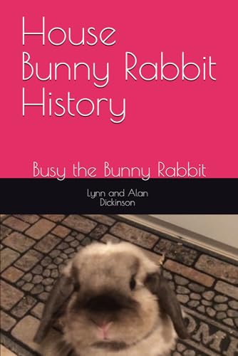 House Bunny Rabbit History: Busy the Bunny Rabbit