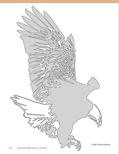 Wildlife Portraits in Wood: 30 Patterns to Capture the Beauty of Nature (Fox Chapel Publishing) - Image 4