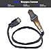 A-tnewb 2PCS Oxygen Sensor 234-5068 234-4575 Compatible with 2014-2018 Ford Focus 2.0L (Non-Turbo) Upstream & Downstream