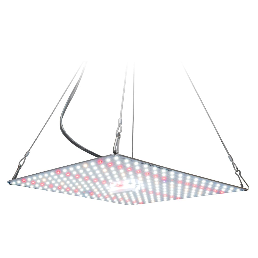 HaruDesign 植物育成LEDライト GL-BOARD 5000 アガベ HaruDesign 植物育成LEDライト GL-BOARD 5000