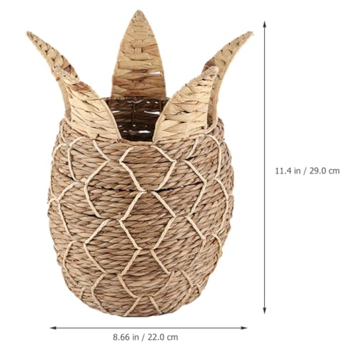 Panier tressé d'ananas organisateur de bureau rustique pour trier vos crayons - 2