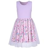 Toddler Sleeveless Dresses 4-5t Girls Summer Twirl Sundress Cute Animal Panda Sheep Ice Cream Print Princess Tulle Dress