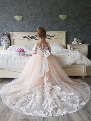 Long Sleeve Flower Girl Dress Toddler Tulle Tutu Lace Back Party Flower Girl Dress4