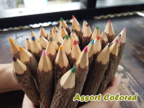 Nutta Assort Colored, Branch & Twig Pencil, 12-Pcs, Natural Wooden Pencils Wood Tree Rustic Twig Pencils Fun Pencil thumb #2