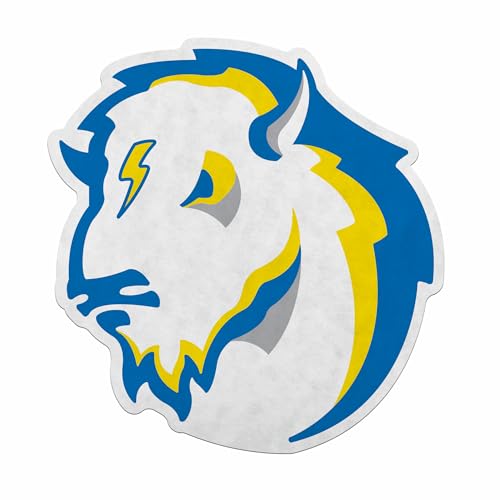 Fanion NCAA Rico Industries décoration maison feutre doux Southeastern Oklahoma State