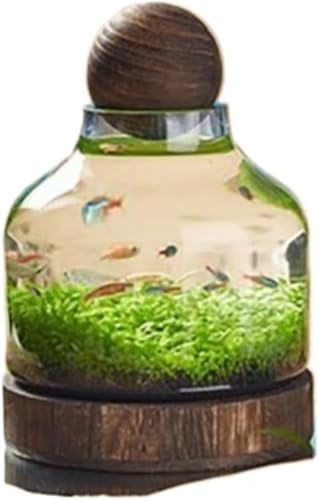 Pazeku �ؐ���̓����Ȍ���̃K���X�����ؐ��T�|�[�g���{�B���i���ԃ{�g�����k�͔|�{�g���K���X�ԕr (�^�C�vA)