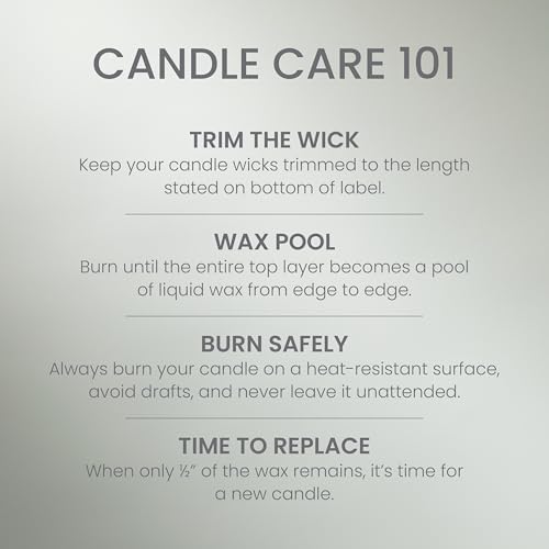 Yankee Candle Large Jar Scented Candle with up to 150 Hour Burn Time, Premium Plant Wax Blend for Consistent Burn, 22 oz Jar Candle with Room Filling Fragrance, Silver Sage & Pine