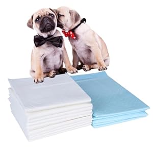 Dog potty training leak proof pee pads  tapete para perros yorkie accessories pampers para perros dog litter medium 24 x 18 inches  pack of 50 pet products puppy training blue   cucciolini doodles