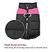 Didog Cold Weather Dog Warm Vest Jacket Coat,Pet Winter Clothes for Small Medium Large Dogs(Chest 12 Inch; Back Length 9 Inch, Pink)