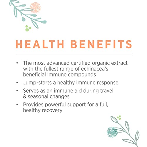 Pure Synergy Superpure Echinacea Extract | 60 Capsules | Made With Organic Ingredients | Non-Gmo | Vegan | Triple Extract Echinacea Supplement #TOP4