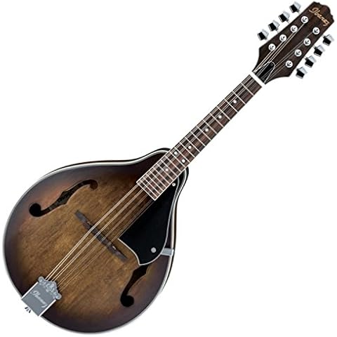 Ibanez M510 Acoustic Mandolin Cover