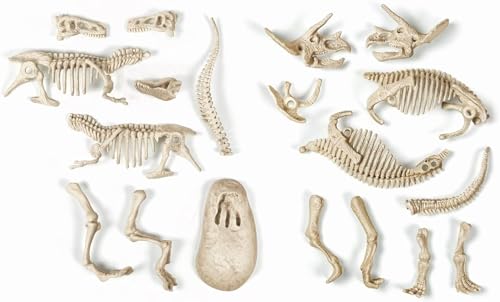 Clementoni – a1503085 – Spiel Wissenschaftliche – Trex Triceratops