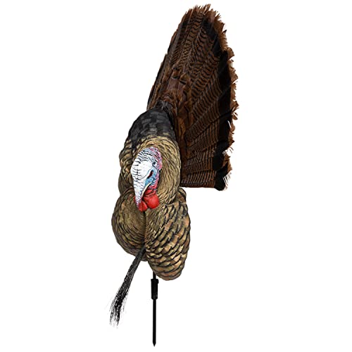 Avian-X Trophy Tom Turkey Decoy | Durable Realistic Lifelike Collapsible Standing Hunting Decoy With Carry Bag & Stake, Avx8021 #TOP2