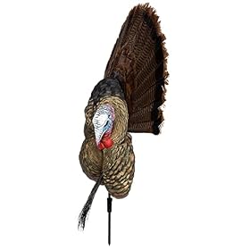 Avian-X-Turkey-Trophy-Tom-Decoy-Taxidermy-Mounting-Kit