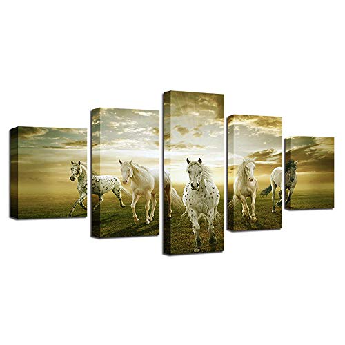 Image sur verre tableau mural premium chevaux blancs pour intérieur moderne