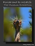 Florida and Its Wildlife: The Museum Exhibition