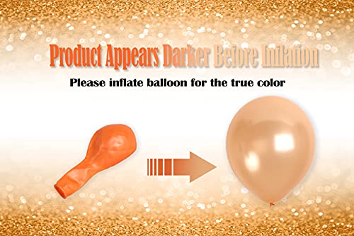 Treasures Gifted Champagne Balloons - Premium Balloons - Metallic Latex Balloons, Pearl Blush Balloons 12 Inch, Copper Balloons - Champagne Colored Balloons - 36 Balloon Pack #TOP12