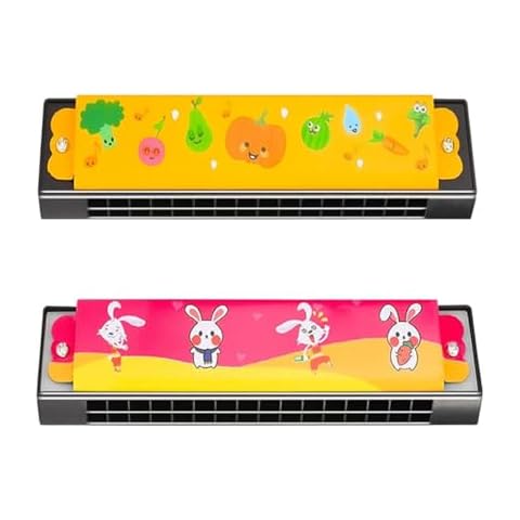 Harmonica PlandleLee pour Débutants Cover