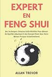 Expert En Feng Shui: Des Techniques Chinoises Enfin Révélées Pour Obtenir Un Équilibre Maximal Et Une Énergie Vitale Dans Votre Maison Presque Instantanément (Fengh Shui à l\'extrême, Band 1)