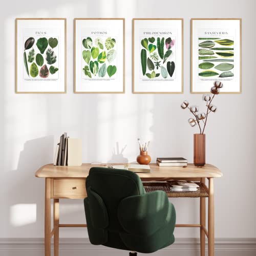 Plant Poster Set Of 4 Unframed - Botanical Wall Art - Plant Stuff - Green Wall Art - Plant Wall Art - Plant Art Wall Prints - Plant Prints - Plant Pictures Wall Art - 8X10" (Folia) #TOP3
