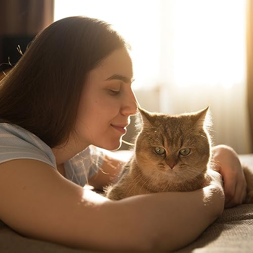 Somnography, Warm Chill Fire Sounds & Relax My Cat