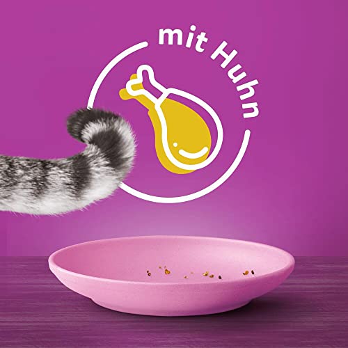 Whiskas Junior Trockenfutter Huhn, 5x800g (5 Packungen) - für heranwachsende Katzen - Extra kleine Kibbles für Kätzchen (2-12 Monate) - unterschiedliche Produktverpackungen erhältlich